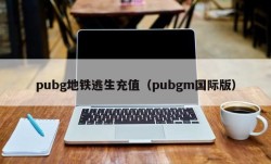 pubg地铁逃生充值（pubgm国际版）