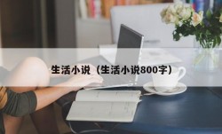 生活小说（生活小说800字）