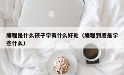 编程是什么孩子学有什么好处（编程到底是学些什么）