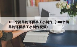 100个简单的环保手工小制作（100个简单的环保手工小制作视频）