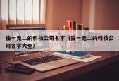 独一无二的科技公司名字（独一无二的科技公司名字大全）