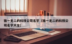 独一无二的科技公司名字（独一无二的科技公司名字大全）