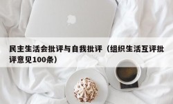 民主生活会批评与自我批评（组织生活互评批评意见100条）