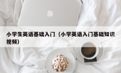 小学生英语基础入门（小学英语入门基础知识视频）