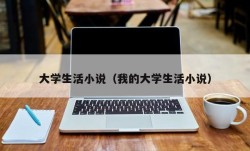 大学生活小说（我的大学生活小说）