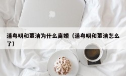 潘粤明和董洁为什么离婚（潘粤明和董洁怎么了）