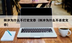 林冲为什么不打史文恭（林冲为什么不杀史文恭）