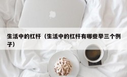 生活中的杠杆（生活中的杠杆有哪些举三个例子）