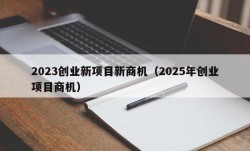 2023创业新项目新商机（2025年创业项目商机）