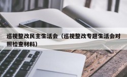 巡视整改民主生活会（巡视整改专题生活会对照检查材料）