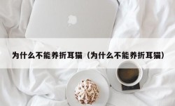 为什么不能养折耳猫（为什么不能养折耳猫）