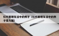 杠杆原理生活中的例子（杠杆原理生活中的例子受力图）