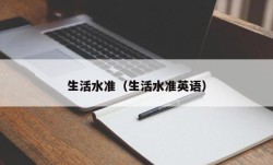 生活水准（生活水准英语）