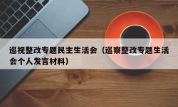 巡视整改专题民主生活会（巡察整改专题生活会个人发言材料）