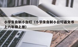 小学生自制小台灯（小学生自制小台灯语文书上六年级上册）