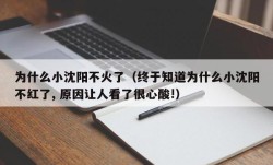 为什么小沈阳不火了（终于知道为什么小沈阳不红了, 原因让人看了很心酸!）