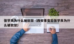 张学良为什么被软禁（西安事变后张学良为什么被软禁）