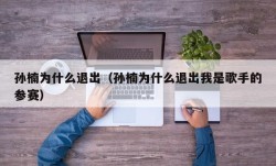 孙楠为什么退出（孙楠为什么退出我是歌手的参赛）