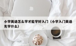 小学英语怎么学才能学好入门（小学入门英语先学什么）