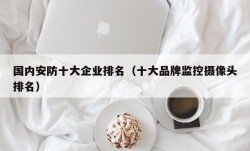 国内安防十大企业排名（十大品牌监控摄像头排名）