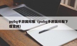 pubg手游国际服（pubg手游国际服下载官网）