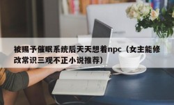 被赐予催眠系统后天天想着npc（女主能修改常识三观不正小说推荐）