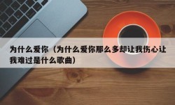 为什么爱你（为什么爱你那么多却让我伤心让我难过是什么歌曲）