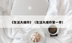 《生活大爆炸》（生活大爆炸第一季）