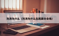 刘涛为什么（刘涛为什么在西藏分会场）