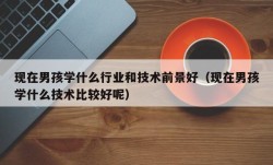 现在男孩学什么行业和技术前景好（现在男孩学什么技术比较好呢）