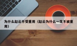 为什么赵云不受重用（赵云为什么一生不被重用）