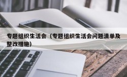 专题组织生活会（专题组织生活会问题清单及整改措施）