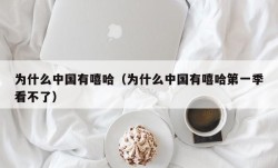 为什么中国有嘻哈（为什么中国有嘻哈第一季看不了）