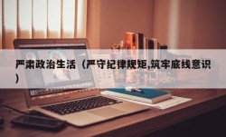 严肃政治生活（严守纪律规矩,筑牢底线意识）