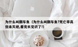 为什么叫翻车鱼（为什么叫翻车鱼?死亡率高但未灭绝,看完长见识了!）