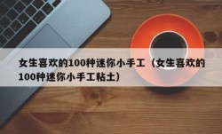 女生喜欢的100种迷你小手工（女生喜欢的100种迷你小手工粘土）