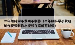 二年级科学小发明小制作（二年级科学小发明制作视频制作小视频在家就可以做）