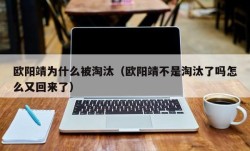 欧阳靖为什么被淘汰（欧阳靖不是淘汰了吗怎么又回来了）