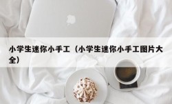 小学生迷你小手工（小学生迷你小手工图片大全）