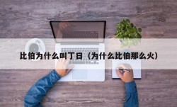 比伯为什么叫丁日（为什么比伯那么火）