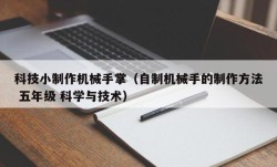 科技小制作机械手掌（自制机械手的制作方法 五年级 科学与技术）