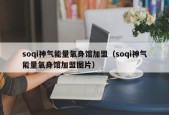 soqi神气能量氧身馆加盟（soqi神气能量氧身馆加盟图片）