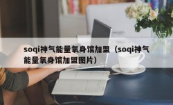 soqi神气能量氧身馆加盟（soqi神气能量氧身馆加盟图片）