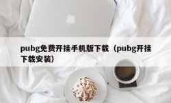 pubg免费开挂手机版下载（pubg开挂下载安装）