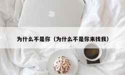 为什么不是你（为什么不是你来找我）