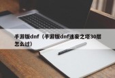 手游版dnf（手游版dnf迷妄之塔30层怎么过）