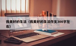 我美好的生活（我美好的生活作文300字左右）