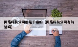 网络科技公司都是干嘛的（网络科技公司有前途吗）