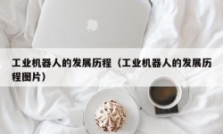 工业机器人的发展历程（工业机器人的发展历程图片）