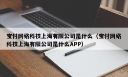 宝付网络科技上海有限公司是什么（宝付网络科技上海有限公司是什么APP）